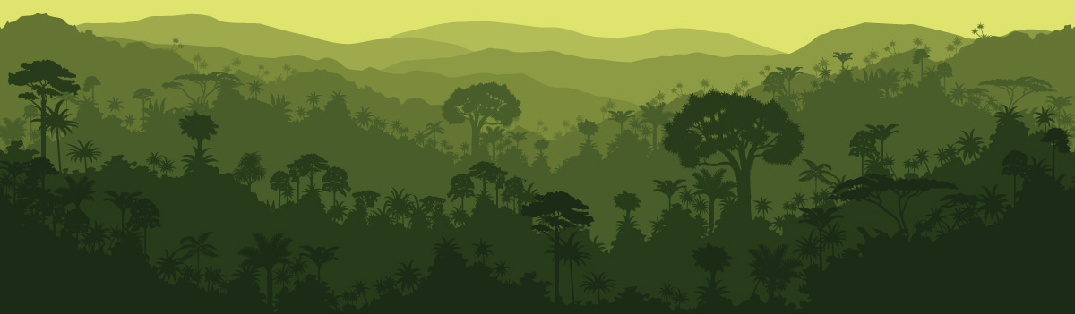 ung pho voi bien doi khi hau la gi