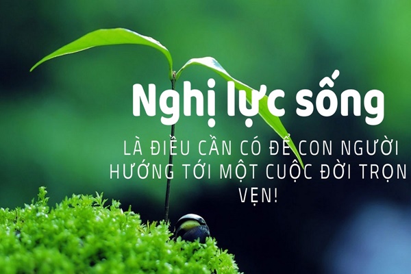 Khái niệm ý chí nghị lực là gì