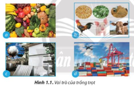 Lý thuyết nghề trồng trọt ở Việt Nam - Công Nghệ 7</>