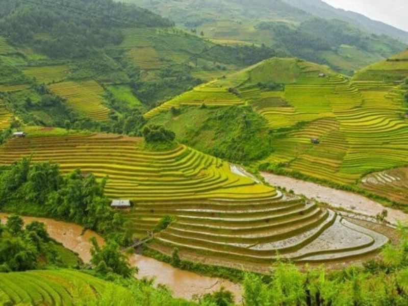 viet-nam-thuoc-kieu-khi-hau-nao-3