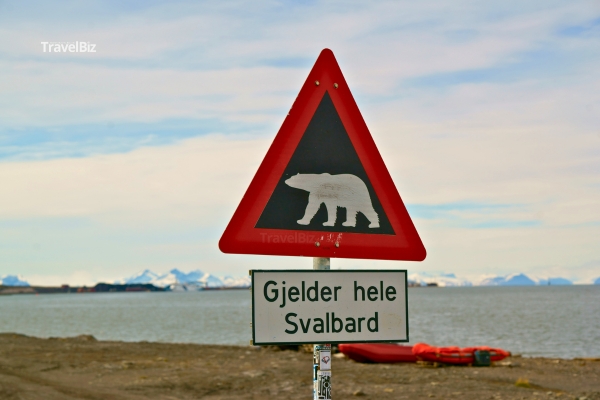 Biển cảnh báo gấu tại Svalbard