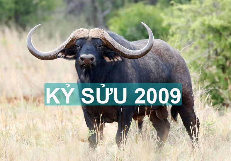 Kỳ Sửu 2009 nam mạng chú ý điều gì