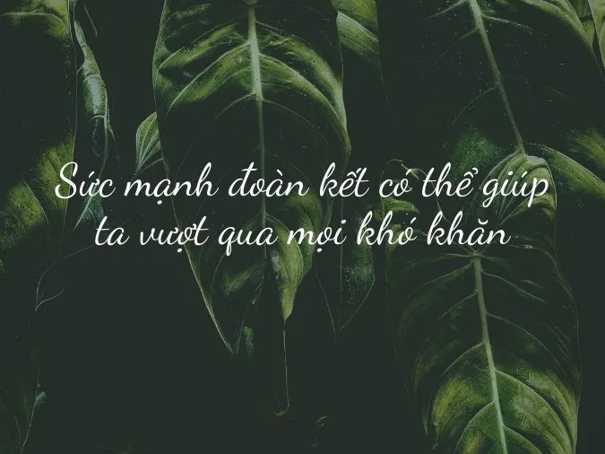 Ý nghĩa câu tục ngữ ‘một cây làm chẳng nên non, ba cây chụm lại nên hòn núi cao’ 2