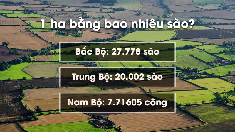1ha bằng bao nhiêu sào?