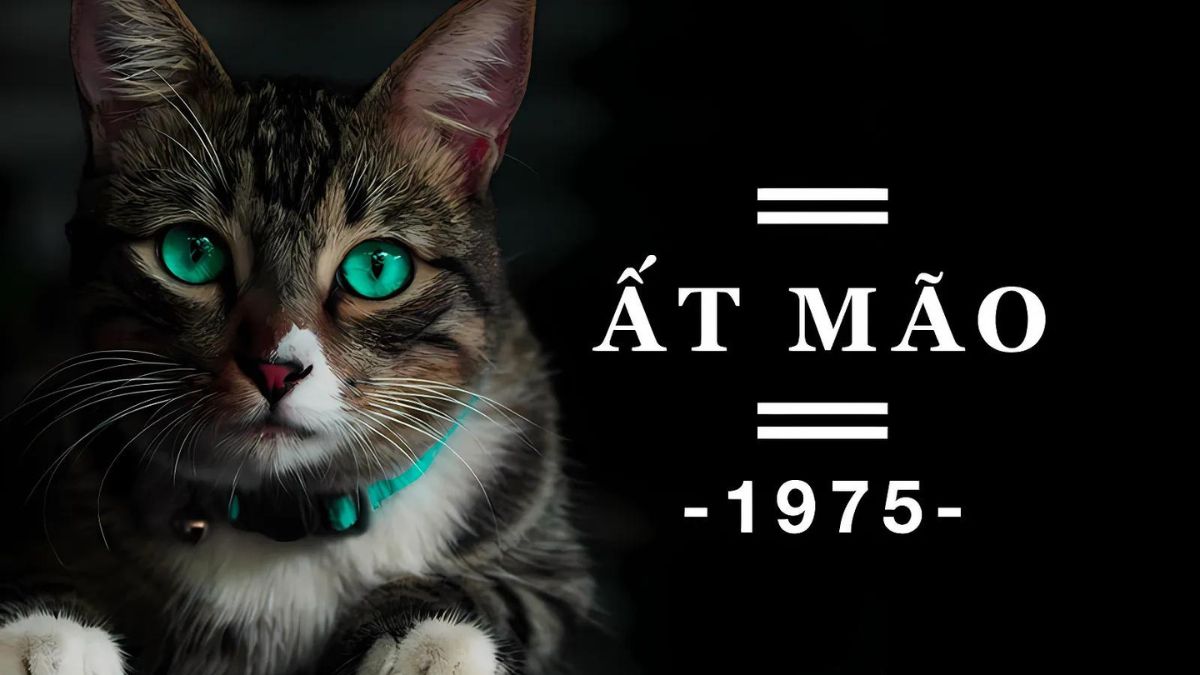 Sinh năm 1975 tuổi gì?