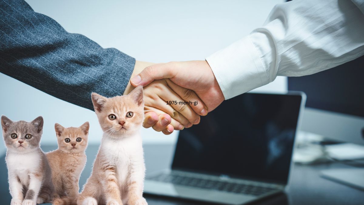 Ất Mão sinh năm 1975 hợp tuổi nào?