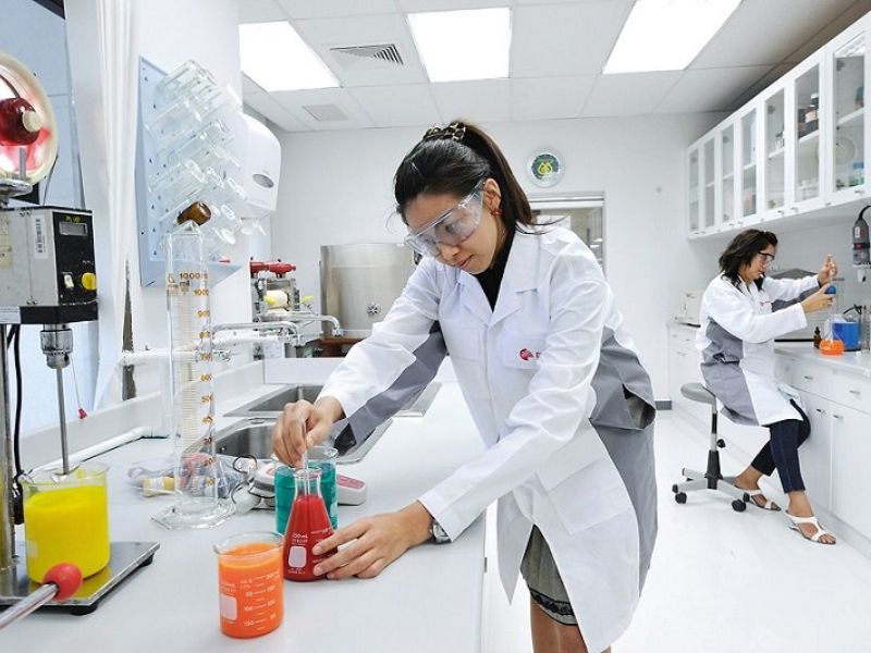 a02 gom nhung nganh nao 5