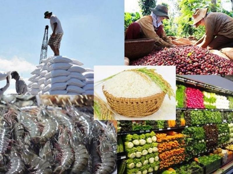 a02 gom nhung nganh nao 7