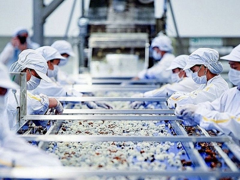 a02 gom nhung nganh nao 8