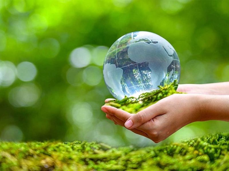 a02 gom nhung nganh nao 9