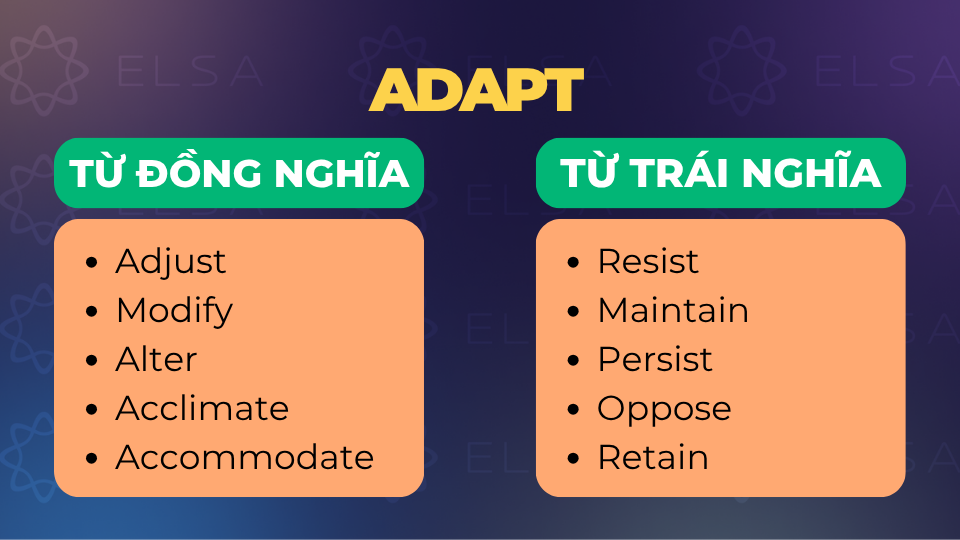 Từ đồng nghĩa và trái nghĩa với adapt