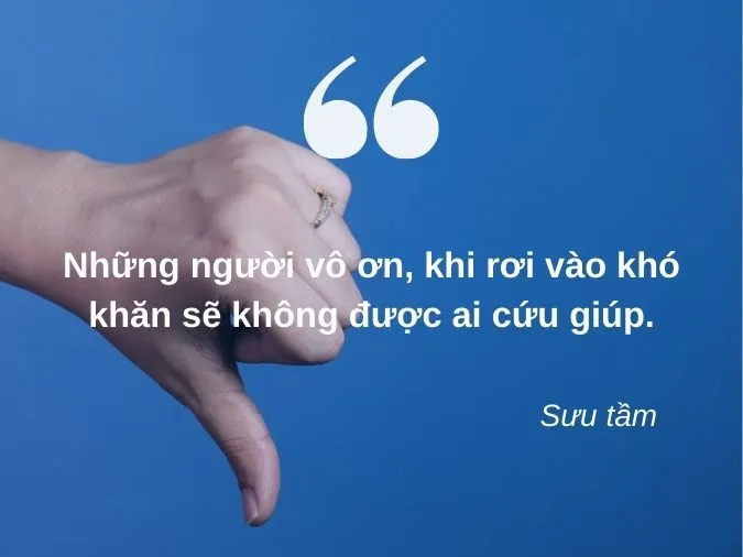 an-cay-tao-rao-cay-sung-voh-4