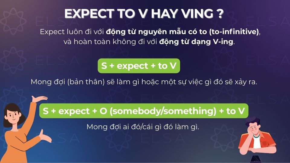 Expect đi với to V