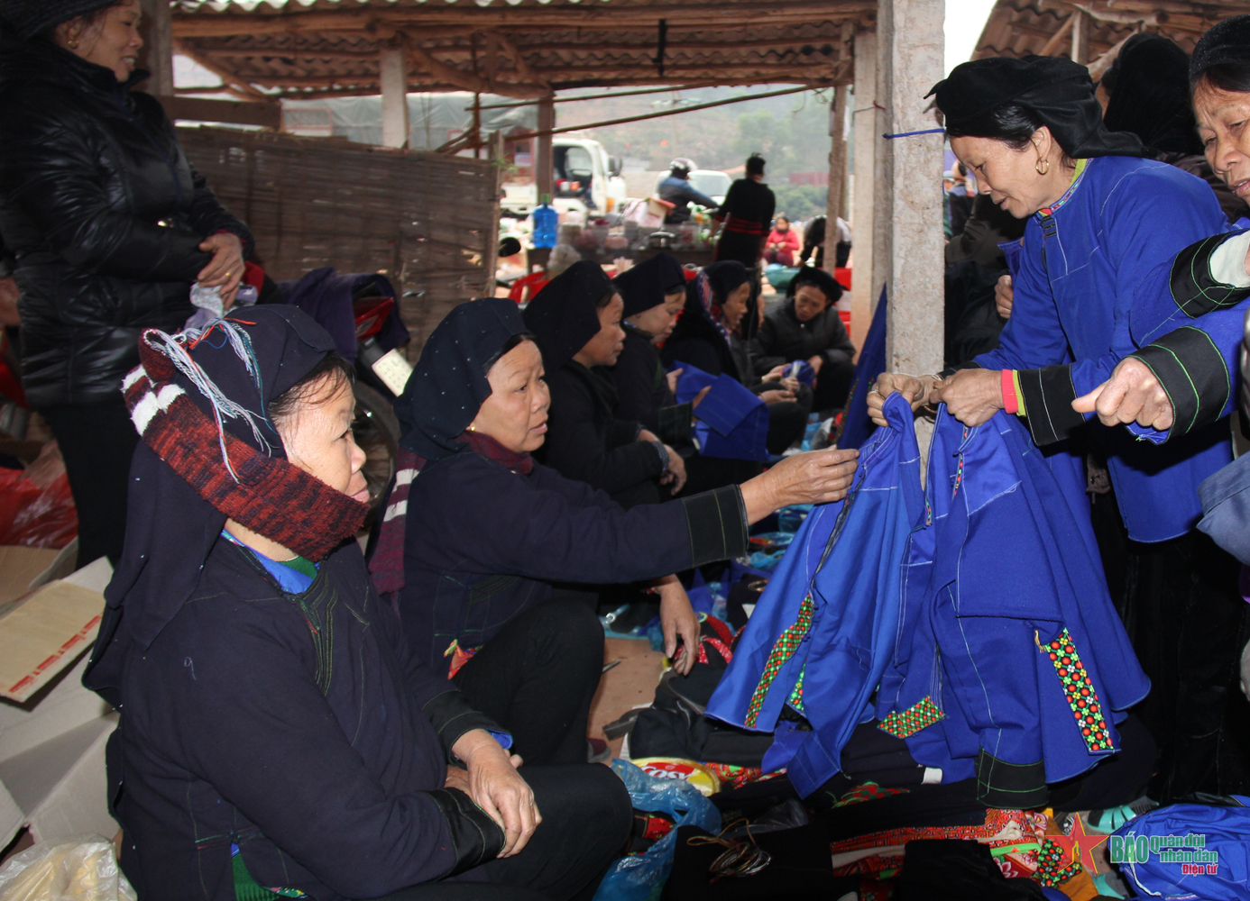 ao cham dua buoi phan ly