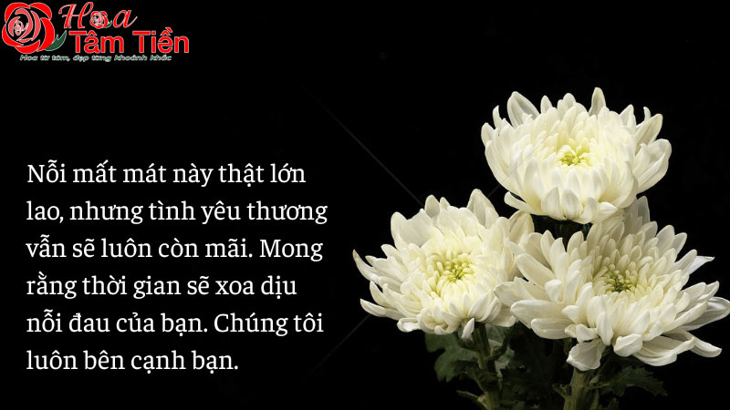 Hoa Tâm Tiền
