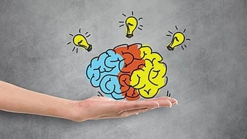 Mùi bạc hà có thể cải thiện khả năng học tập và trí nhớ, làm tăng sự tỉnh táo