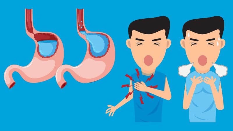 Không sử dụng tinh dầu bạc hà cho người bị trào ngược dạ dày thực quản