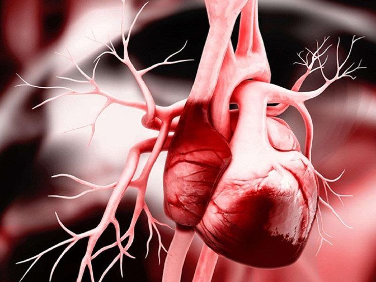 Bệnh nhân mắc bệnh ĐTĐ thai kỳ có nguy cơ bị nhồi máu cơ tim