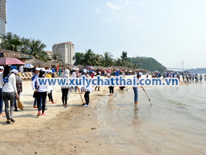 Bảo vệ môi trường biển luôn có vai trò quan trọng