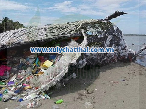 Ô nhiễm môi trường biển
