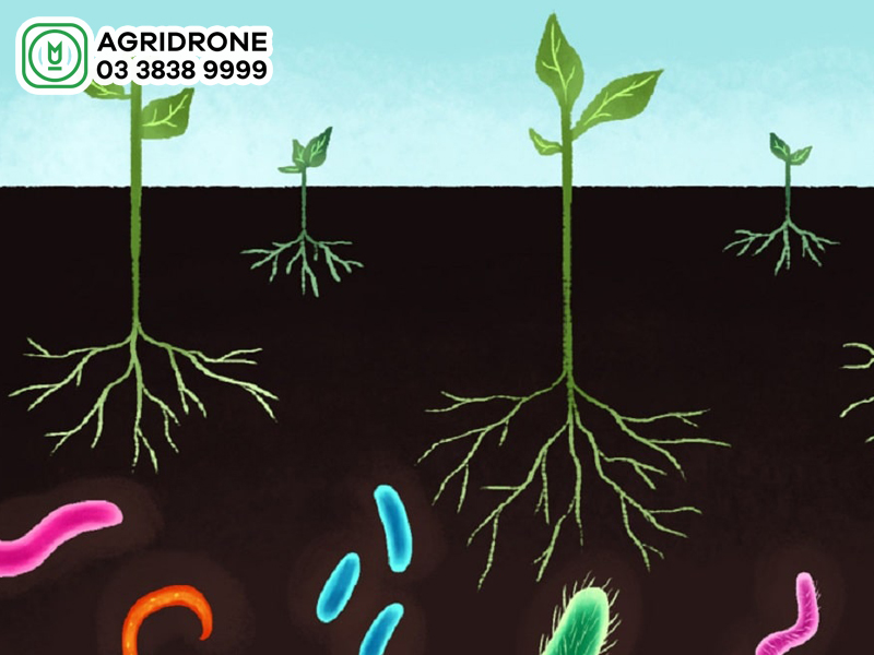 khi bon phan vi sinh vat can luu y 02