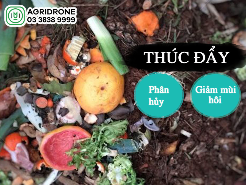 khi bon phan vi sinh vat can luu y 01