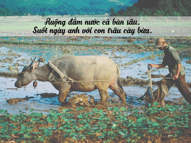 Bhững câu ca dao về lao động cần cù, sáng tạo