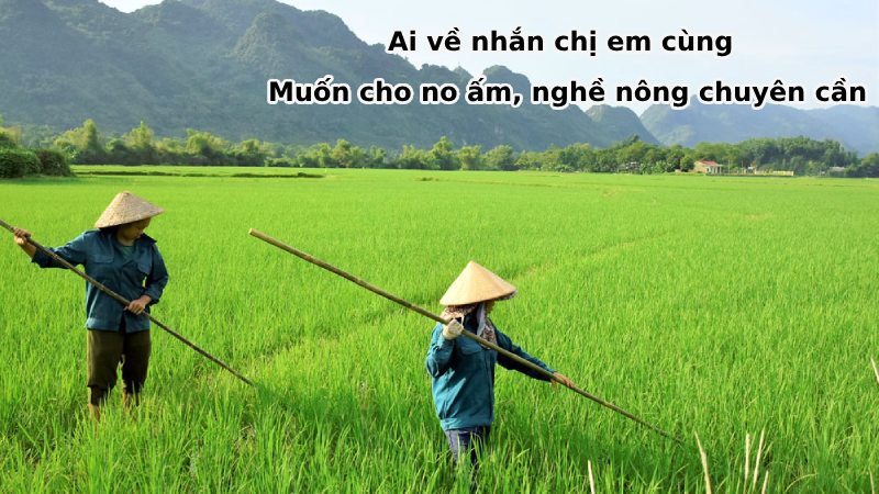 ca dao về lao động sản xuất