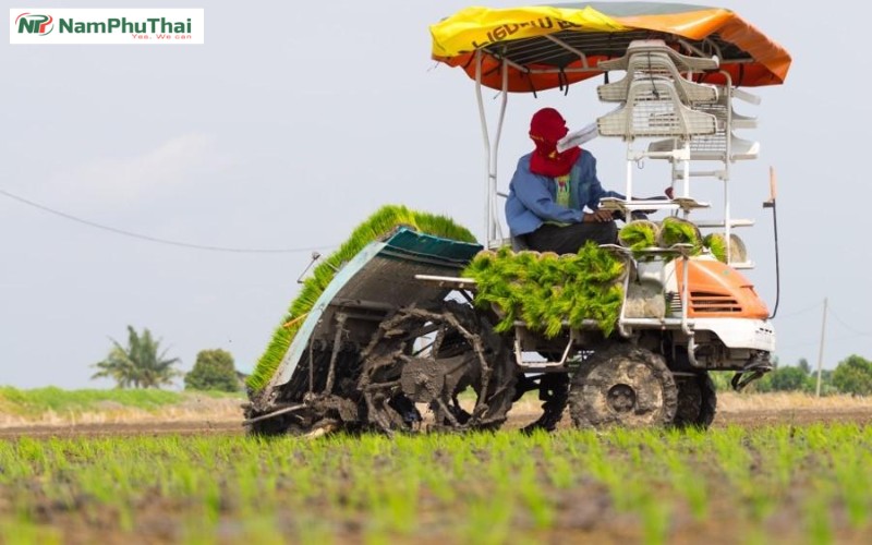 cac phuong phap thu hoach nong san 1