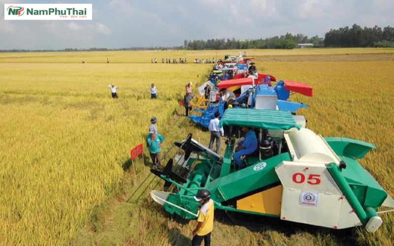 cac phuong phap thu hoach nong san 2