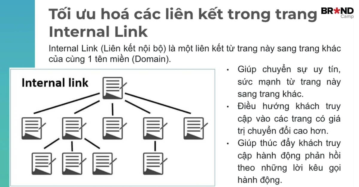 Tối ưu Internal Link
