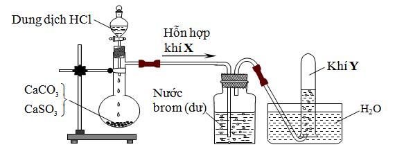 cacbohidrat nao sau day thuoc loai polisaccarit