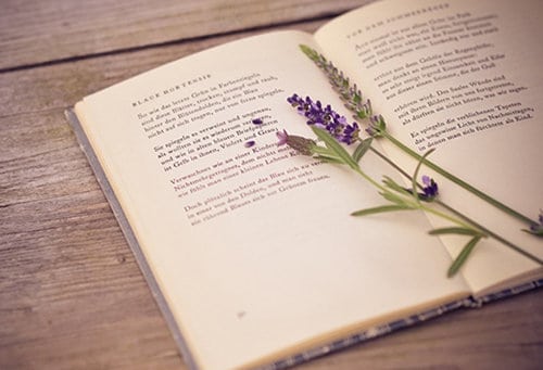 Cách làm văn nghị luận xã hội