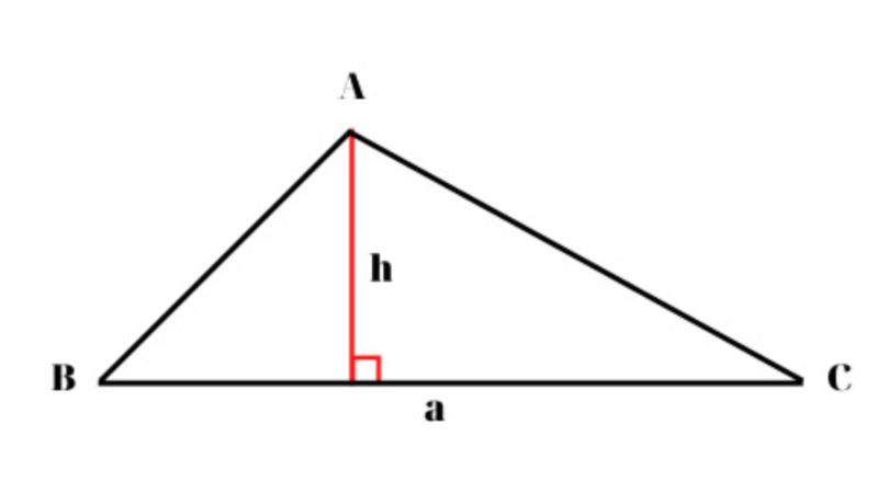 duong-cao-tam-giac-can