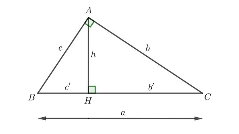 duong-cao-tam-giac-can