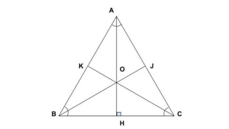 duong-cao-tam-giac-can