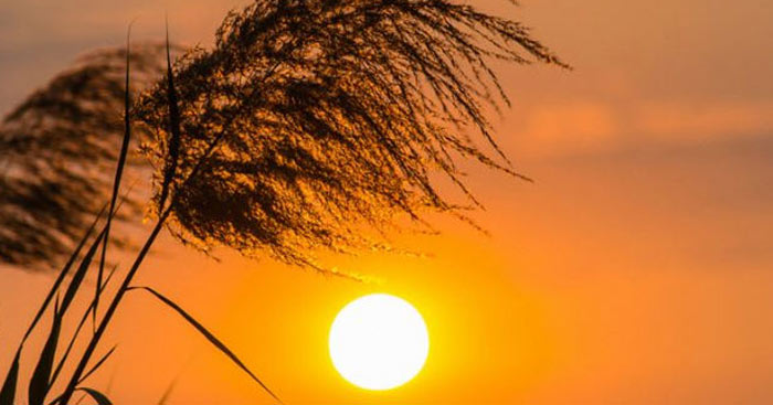 cam nhan cua em ve bai tho tu ay