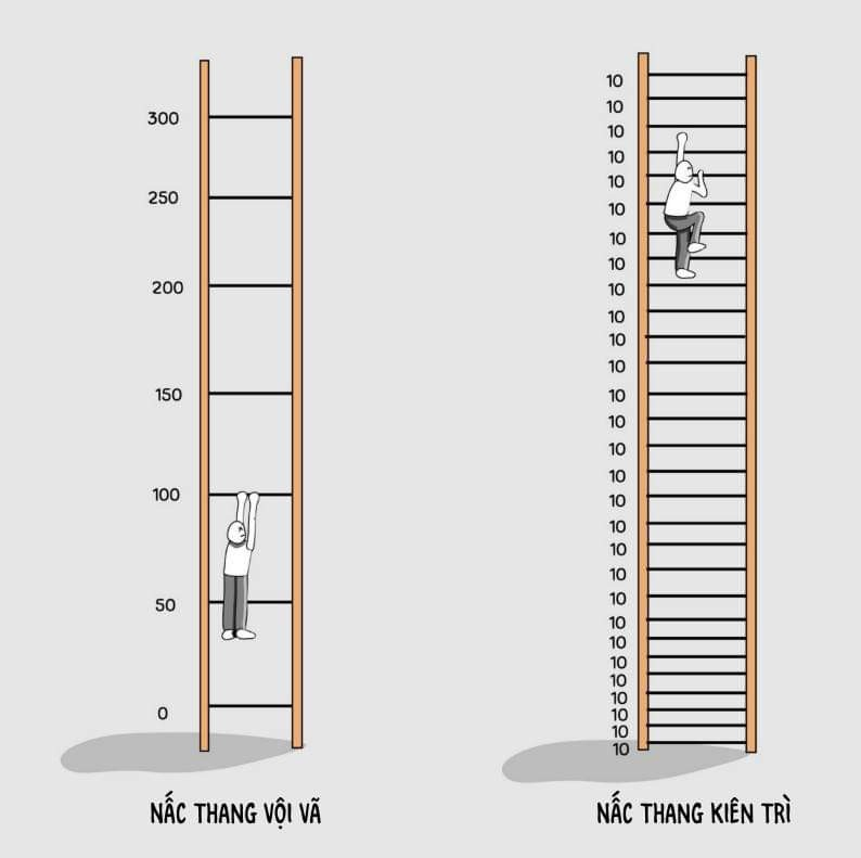 cam nhan ve voi vang