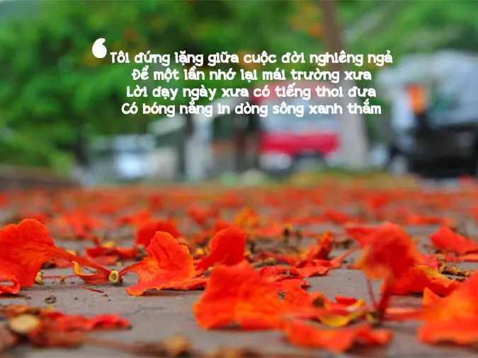 Thơ về lòng biết ơn - Những vần thơ đọc để trân quý cuộc đời 2