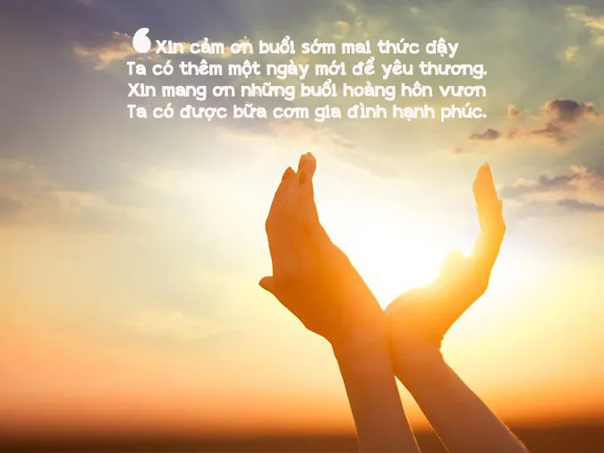 Thơ về lòng biết ơn - Những vần thơ đọc để trân quý cuộc đời 4