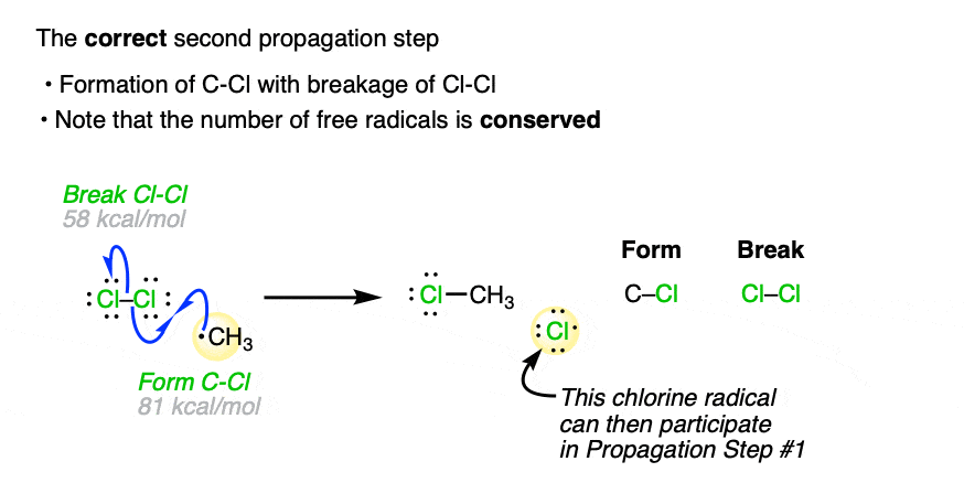 proper way to draw propagation step 2 for free radical chlorination
