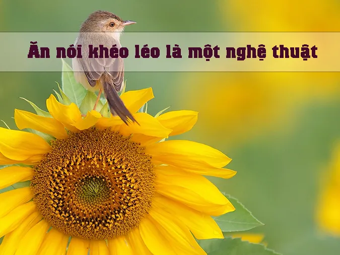 chim-khon-keu-tieng-ranh-rang-voh-0