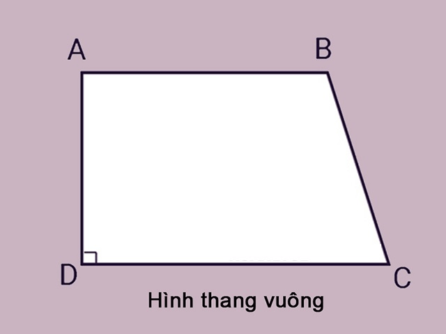 Hình thang vuông. (Ảnh: Sưu tầm Internet)