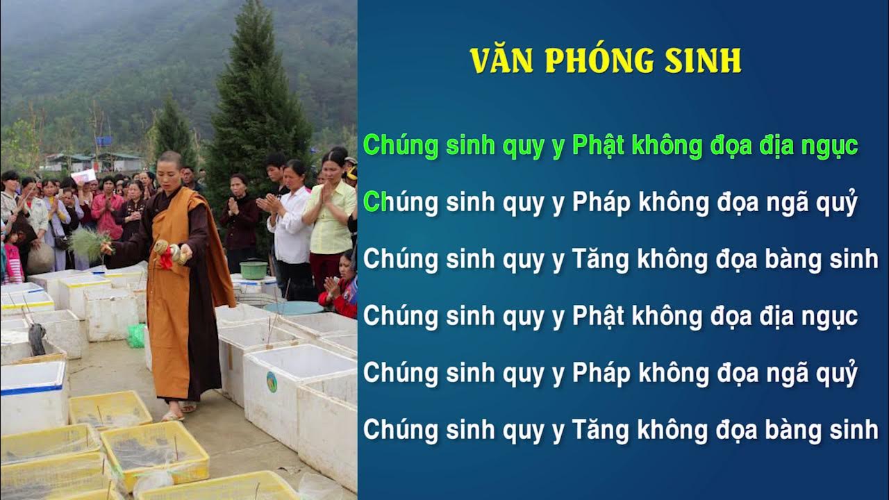 Bài văn khấn phóng sinh tại nhà đơn giản và đầy đủ