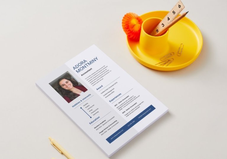 Mẫu CV kế toán tiếng Anh - image 2