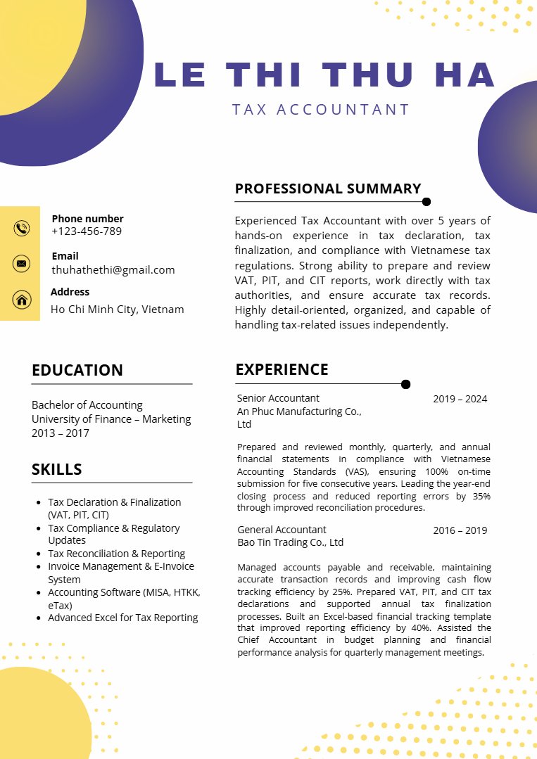 Mẫu CV kế toán tiếng Anh - image 18