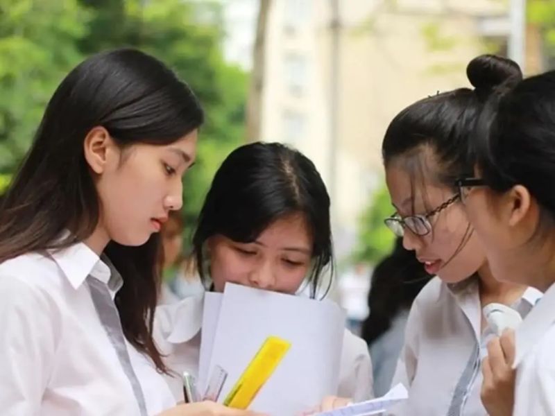 d26 gom nhung mon nao