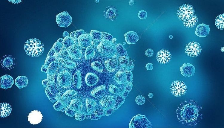 Đặc điểm cấu tạo của nấm gây bệnh trên người 2