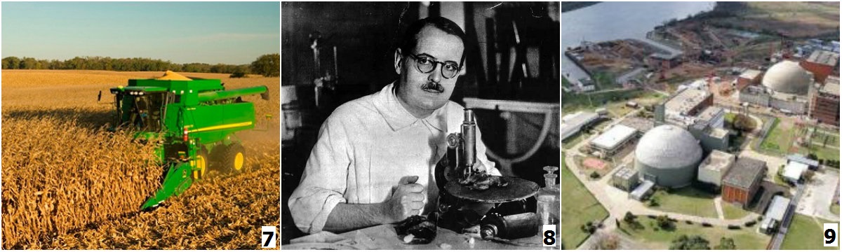 dac diem kinh te noi bat cua hau het cac nuoc mi latinh la 2