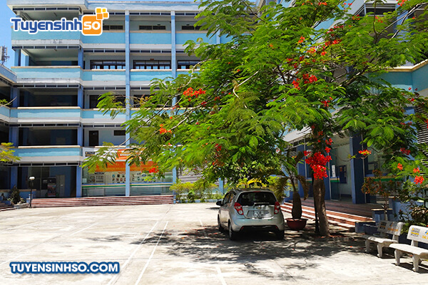 dai hoc fpt gom nhung nganh nao 1